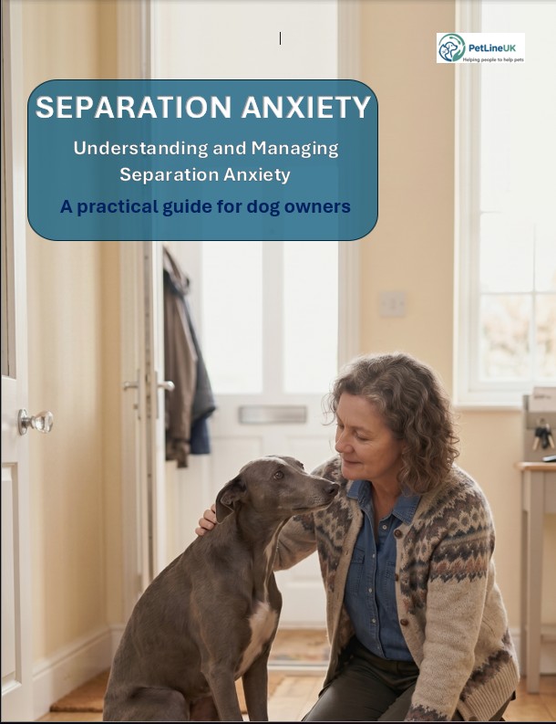 Debbie_Connolly's tweet photo. Struggling with dog separation anxiety?  Buy our kindle book  and get help to understand and solve the problem.
https://t.co/fTMbB3V2l3 
#dogbehaviour #separationanxiety #dogtraining https://t.co/eIpQKUKG20