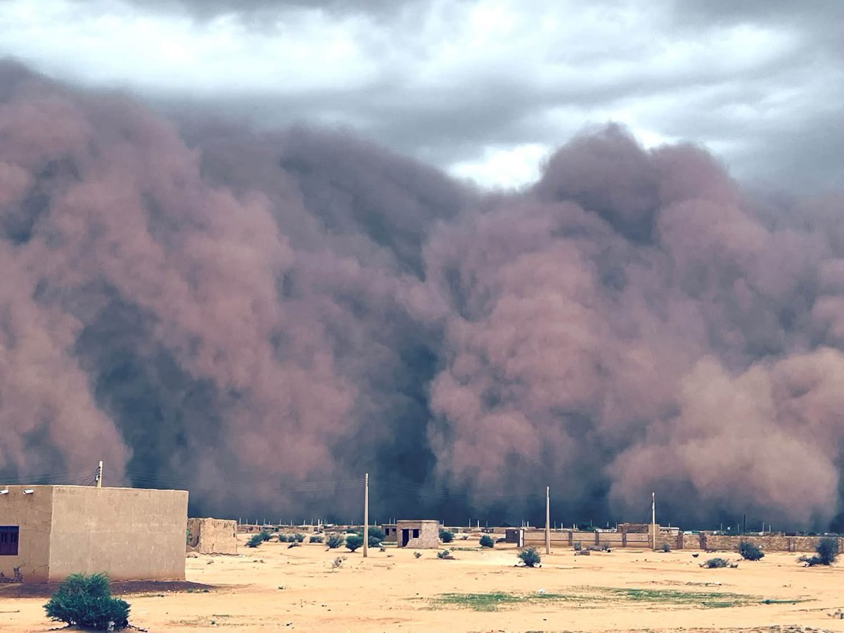 Arab_Storms's tweet photo. 🇸🇩 السودان | عاصفة غبارية ضخمة تضرب ولاية الخرطوم الآن
مشاهد لافتة لجدار كثيف من الغبار «هبوب» يتقدم مع العواصف الرعدية، حيث تم توثيقه في شرق النيل – أبو قرون، كما ظهرت كتلة غبارية أخرى وهي تتقدم باتجاه شمال أم درمان مساء اليوم الخميس 17 سبتمبر.
#Sudan https://t.co/ti3k8DGmrH