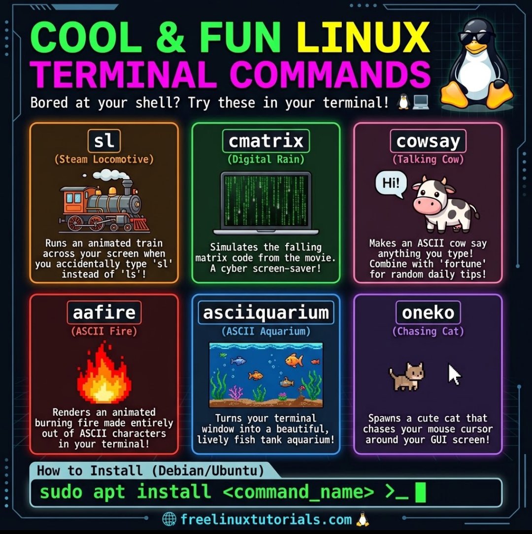 linuxtutorials's tweet photo. old but gold.
cool and fun #linux terminal commands, more info at https://t.co/AkNdWjLc35 https://t.co/7tAiljG72H
