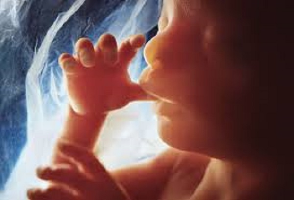 LifeNewsHQ's tweet photo. @NewYorker FALSE.

Human life and pregnancy begin at conception. 

Every time. 

And science has known this for decades, even centuries.

https://t.co/djci7WgYxj https://t.co/Ux6h1JoQV7