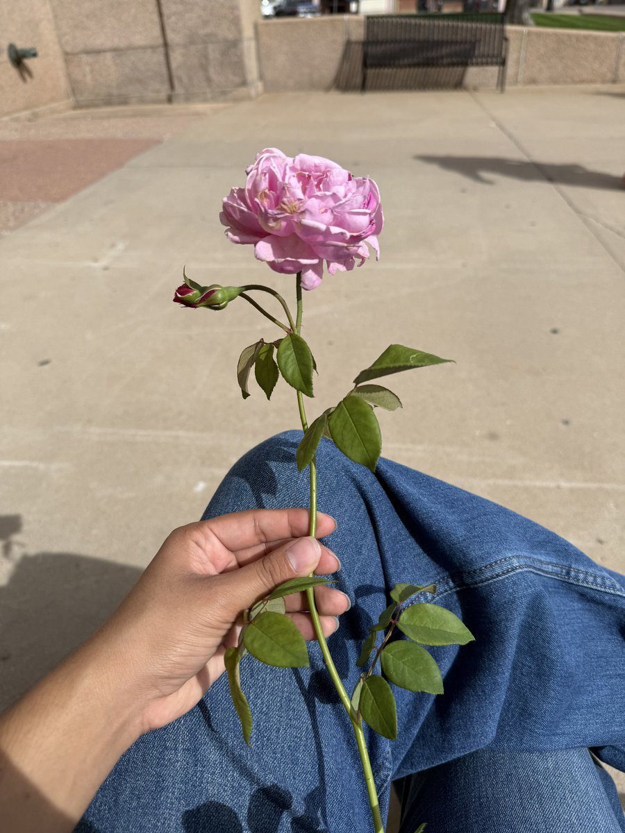 shownuboo's tweet photo. an old man gave me a rose at work 😭 https://t.co/U0FK0ZbtHI