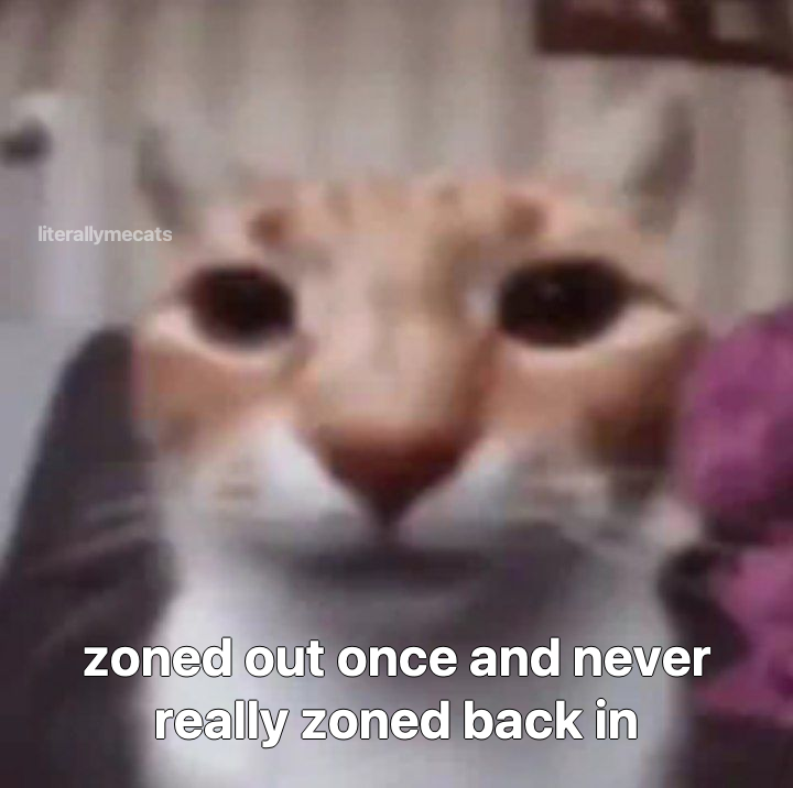 literallymecats's tweet photo. https://t.co/P1SD2F9aRE