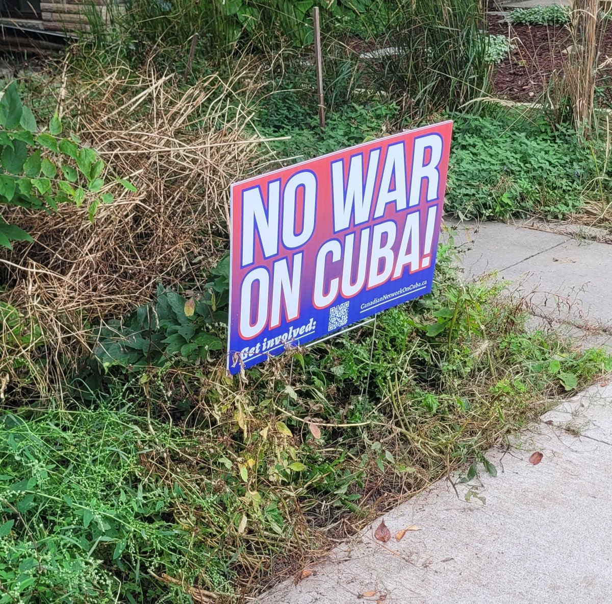 JGGassociation's tweet photo. Signs spotted across downtown Toronto from recent door-to-door campaign efforts by @cdnntwrkoncuba. So much more to be spotted in residential areas of Toronto.
The message is clear, Canadians want peace with Cuba! Canadians care about Cuba! 🇨🇺
#CubaIsNotAlone
#CubaNoEstáSola https://t.co/K9MPwj4cxS