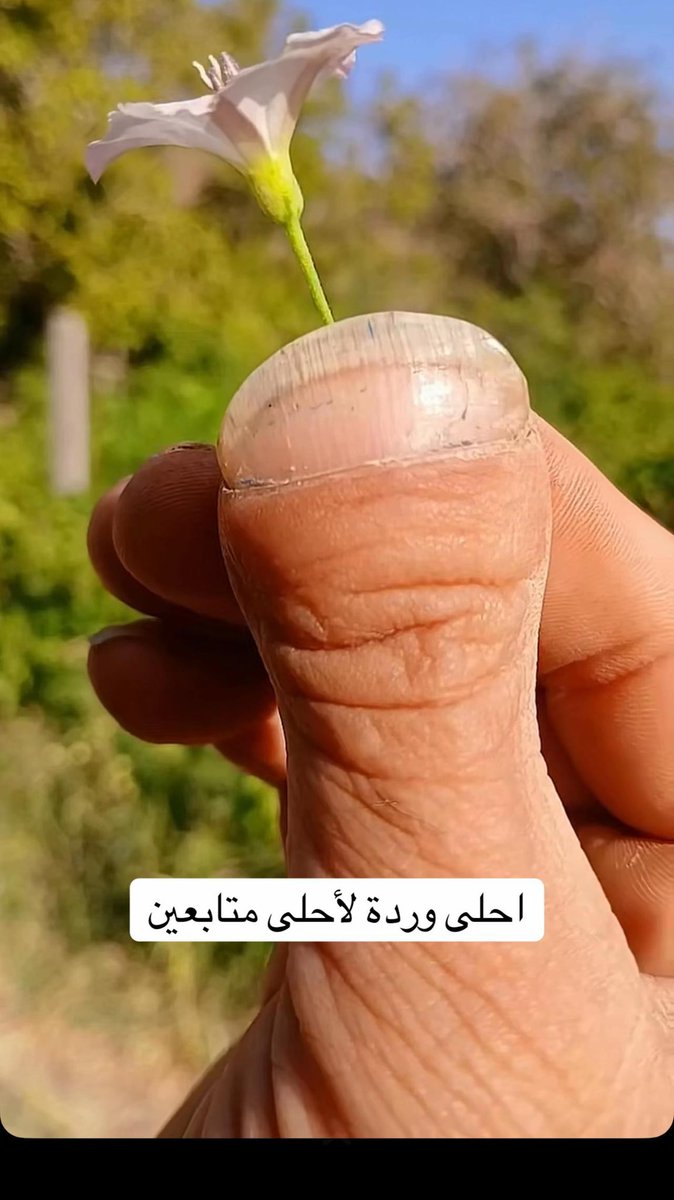 m__as___'s tweet photo. .

.              أحتاج ( كلمه) بدون ( الكاف ) 
.              وابغى ( محبه) بدون( الميم )

             🩷🤍🤍🤍🤍🤍🤍🩷 https://t.co/qr6da7QUlf