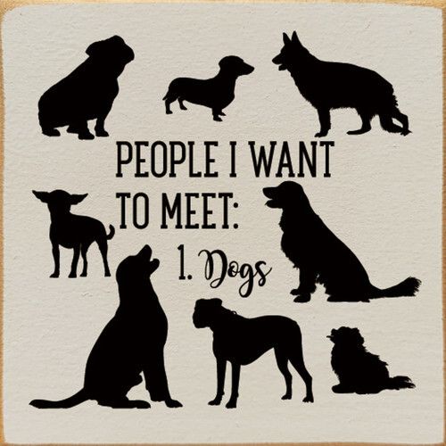 ShadowDogDesign's tweet photo. People I want to meet: 1. #Dogs ๐พ ๐พ ๐
#Dog #BestFriend #GoodDog #FaithfulFriend #LoveDogs #DogsAreLove https://t.co/EXz2XfUTRL