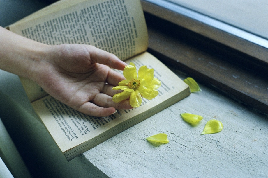 _fe_li_ tweet picture