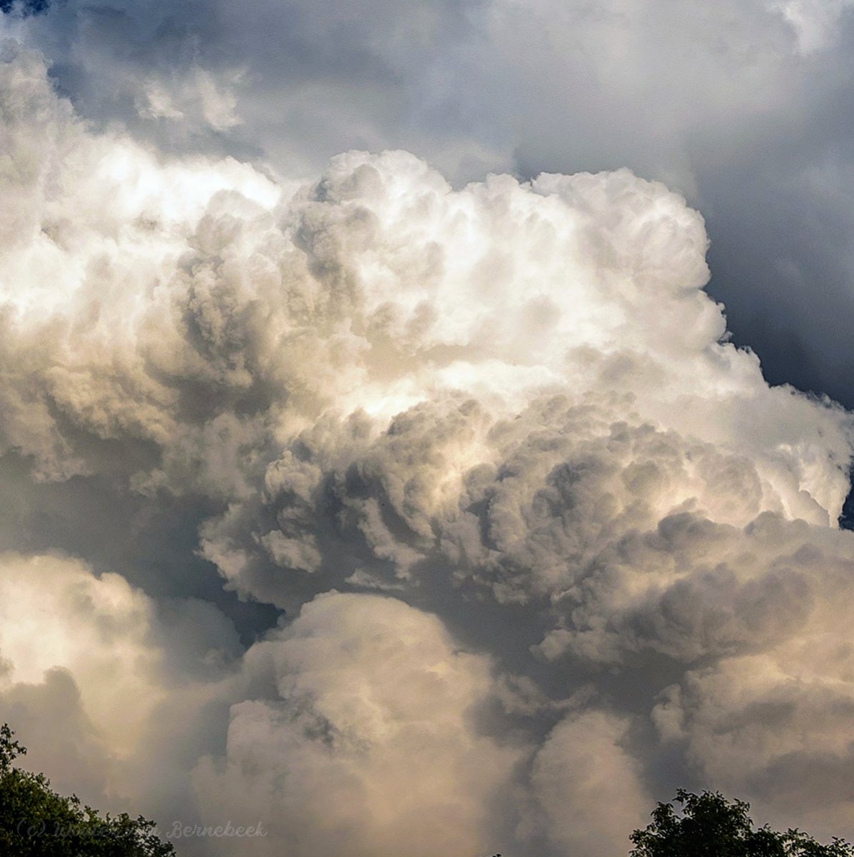 StormchaserNL's tweet photo. 🌩 Gisteren werd de lucht gesierd door enorme 'bloemkoolwolken'! Bij dit soort stijgende wolken weet je dat er snel nieuwe buien zullen ontstaan... en dat gebeurde de hele dag door. Het was ditmaal geen zomers onweer, maar ik blijf genieten van zulke luchten. Enkele plaatjes: https://t.co/9ACRdMJ47X