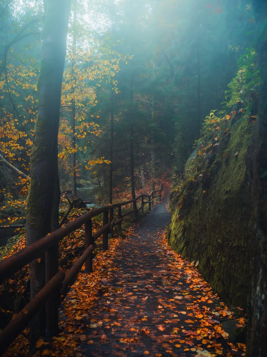 earthserenityy's tweet photo. Czech Republic in fall https://t.co/psRYAt8vK4