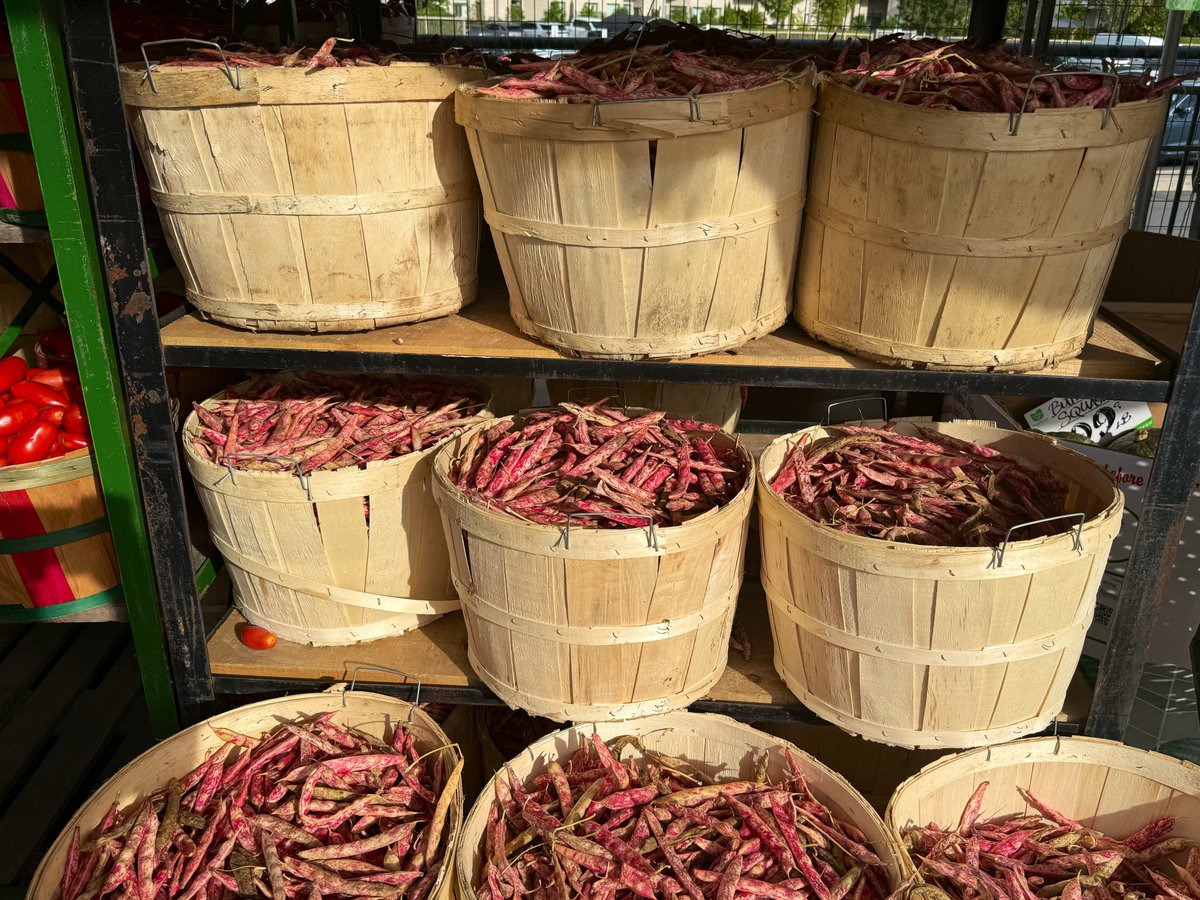 FarukAnalysis's tweet photo. Minik Çftlik manavı
#FarmerMarket #SummerVegies #FallTomato #RomanoTomato #RomanoBeans https://t.co/VjAPs18Zx5