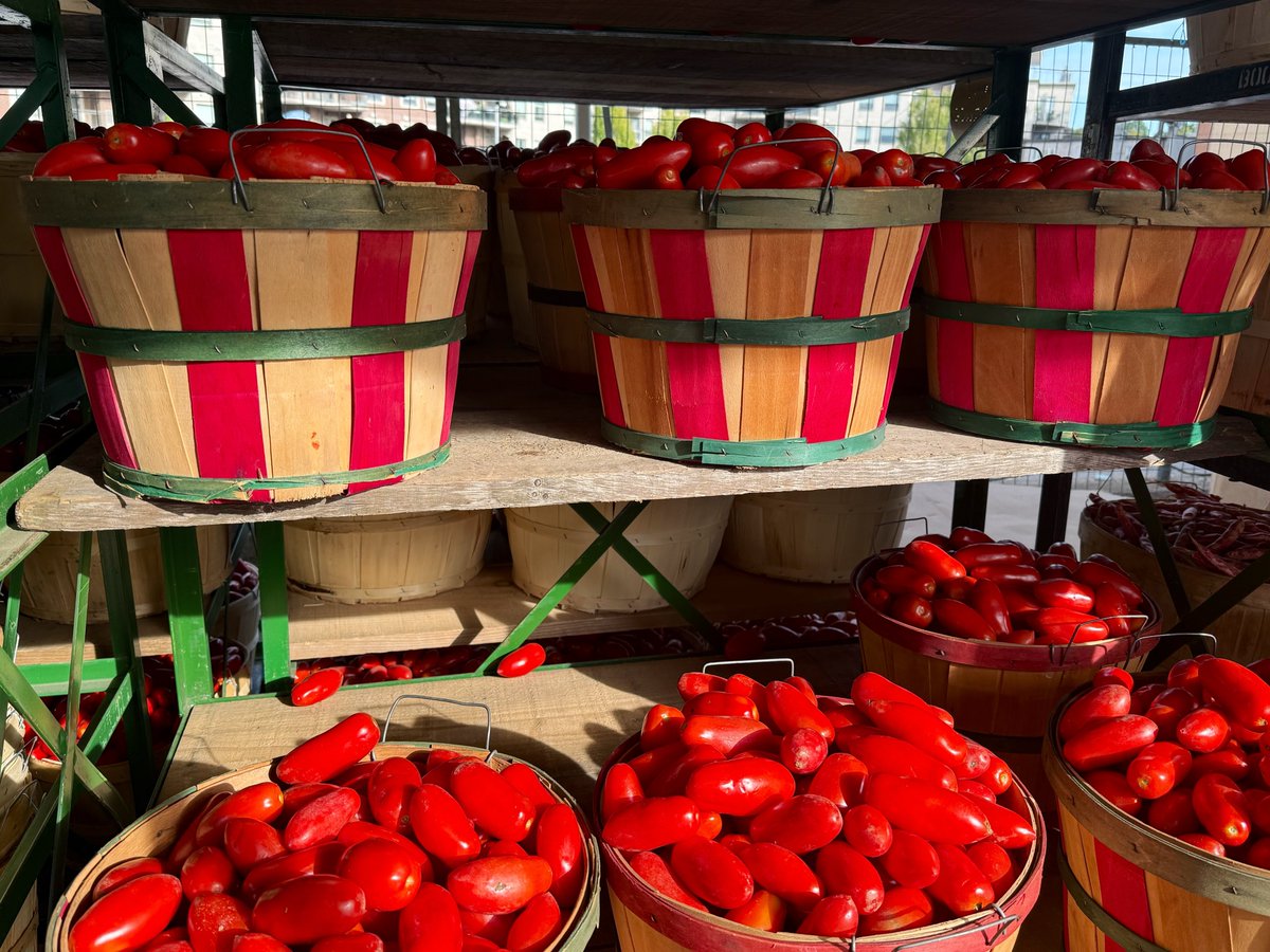 FarukAnalysis's tweet photo. Minik Çftlik manavı
#FarmerMarket #SummerVegies #FallTomato #RomanoTomato #RomanoBeans https://t.co/VjAPs18Zx5