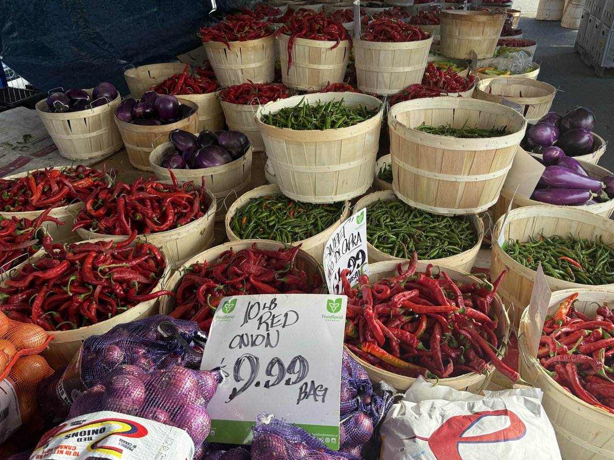 FarukAnalysis's tweet photo. Minik Çftlik manavı
#FarmerMarket #SummerVegies #FallTomato #RomanoTomato #RomanoBeans https://t.co/VjAPs18Zx5