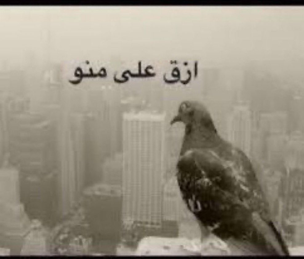 Dante4Lady's tweet photo. لا بس نمت العصر https://t.co/W2x5bghNw8
