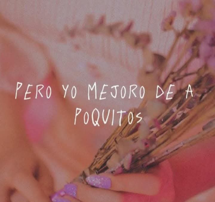 SopitasDeLetras's tweet photo. ✨️ https://t.co/UqWiIWrwqu