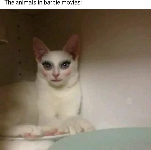 LauSillylillies's tweet photo. Ik they describe Irina’s cat form as just looking like a regular realistic cat that’s just red (despite the cat body being a stuffed animal cat). But I personally like to imagine her cat form just looks like the super uncanny human eyed animals of 2000s/10s barbie films 😭#ectwt https://t.co/oft6uuLJsH