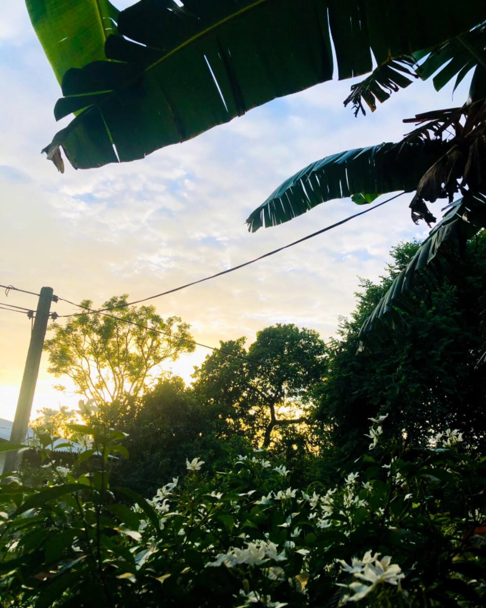 ThomasOszuuk5's tweet photo. The journey toward your dreams isn’t always easy, but it’s worth it. Life has difficult days, yet every setback can lead to a beautiful new beginning. Keep moving forward, one small step at a time, and never give up. https://t.co/o2fejFNnOe