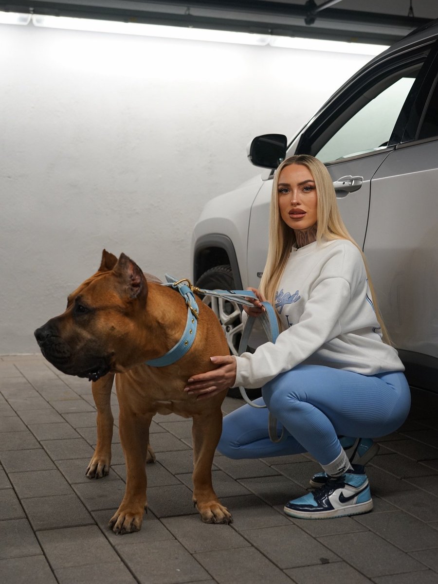 pamelayanez's tweet photo. The timeline stops here.
The real session continues in private.
Link in bio
#dogs #K9 #USA https://t.co/gtep8rVwWI