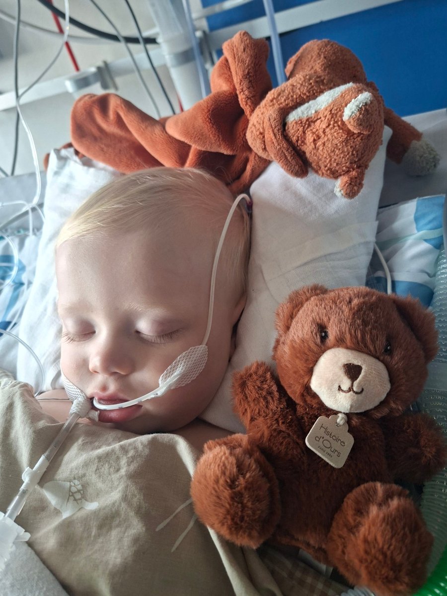 potamopotos's tweet photo. Even in death he was beautiful

I've read every comment and DM I've received. I have no words. Less heavy is a sorrow shared

Some asked about the support collection by @bonifacegroup and whether it is genuine.

It is genuine. Link will beneath

Your generosity is deeply touching https://t.co/Dm308mipO6