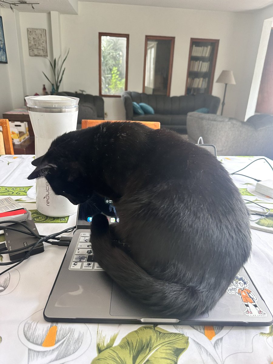 renjunlele's tweet photo. i think i might need to make one of those fake cardboard computers for him atp 😭 https://t.co/dBS9fY6Njk