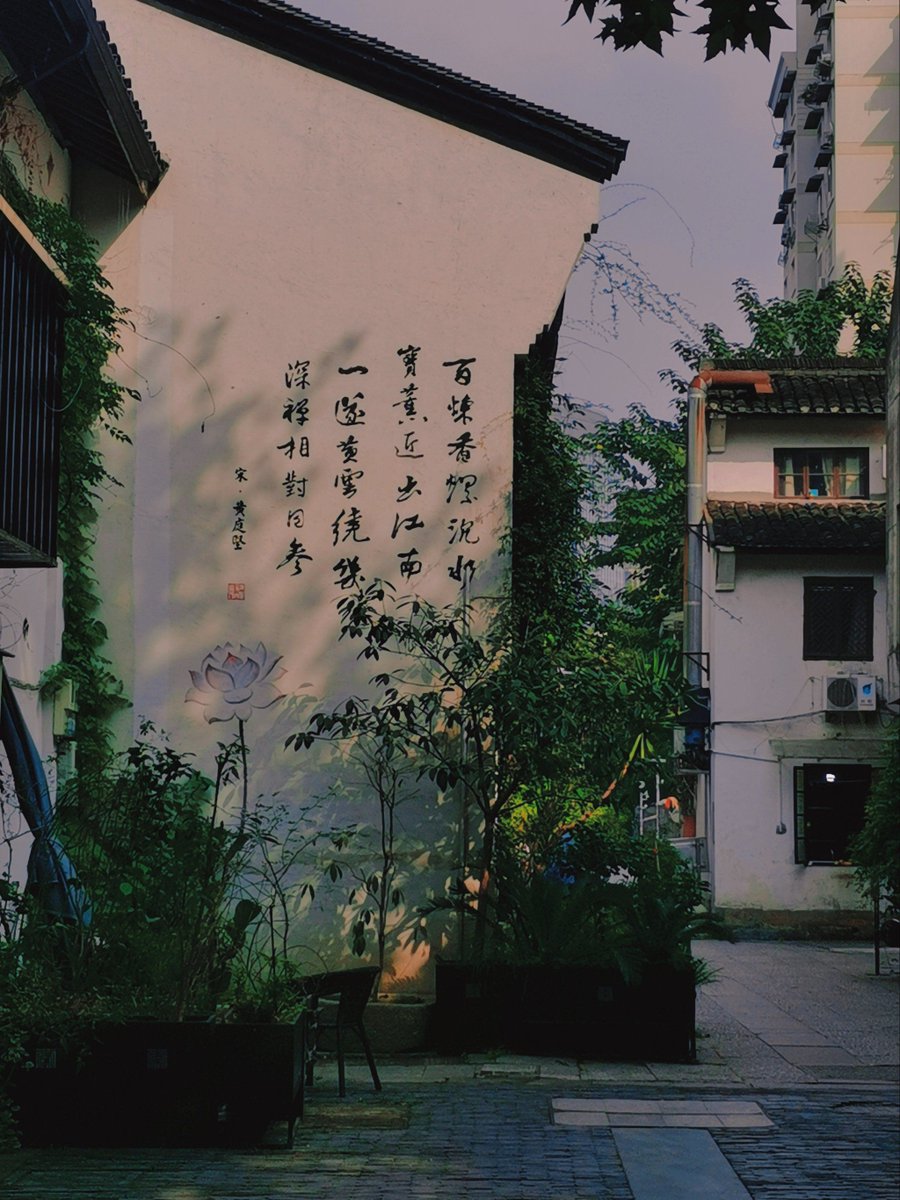 EleonoraWe71's tweet photo. Random city alley find: old bike propped against a graffiti wall, sunlight spilling over the corner. Perfect quiet chaos on a weekday. https://t.co/P44PMHJHYr