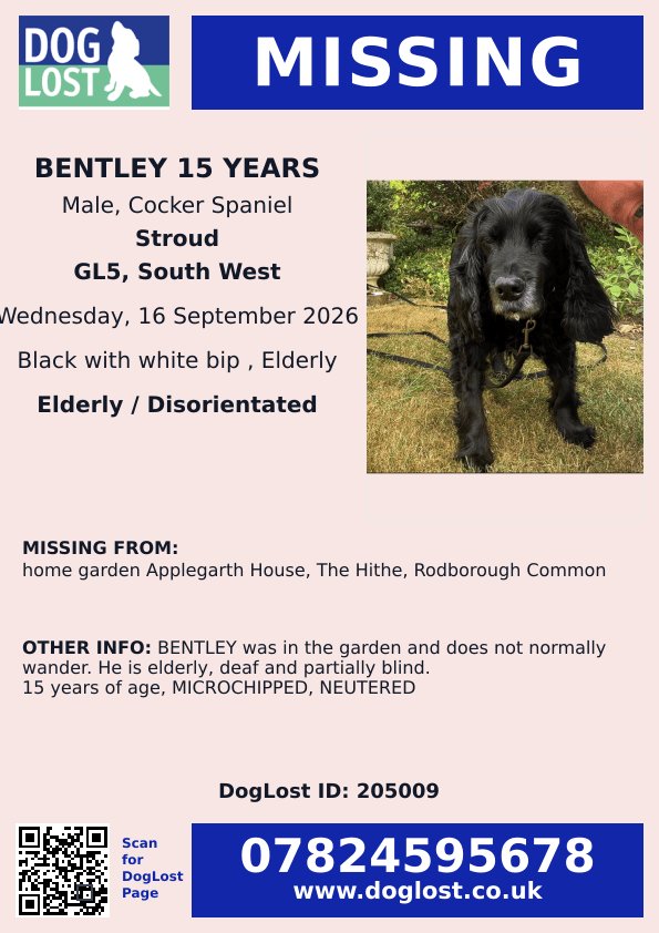 MissingPetsGB's tweet photo. BENTLEY

"Update: There is still no sign of him at all.

All local gardens have been checked &amp; neighbours have been out searching with no success.

My husband has been in contact regarding Drones but they need permission to fly these in the area so unfortunately no success." https://t.co/uMuNCwNZzh