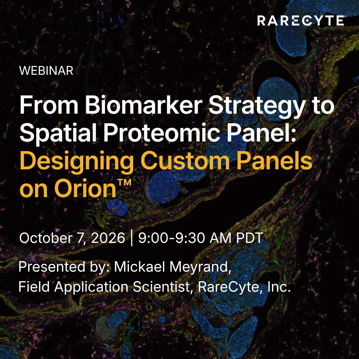 RareCyte's tweet photo. Join us for a 30-minute live session focused on how to translate a biological research question into a custom spatial biomarker panel on the Orion spatial proteomics platform.

Plus, see a demo of the new Orion Panel Designer tool.

Register here: https://t.co/T6xn9omgk5 https://t.co/dpIiAji1R8