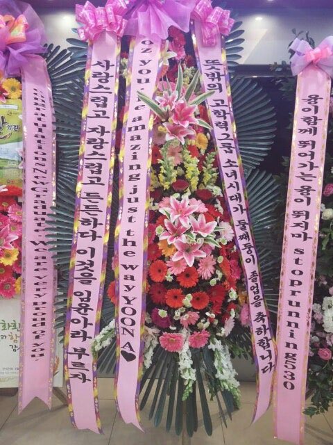 taengloversclub's tweet photo. 개웃긴 소녀시대 대학 졸업 화환 멘트 모음 https://t.co/5DMipMebu1