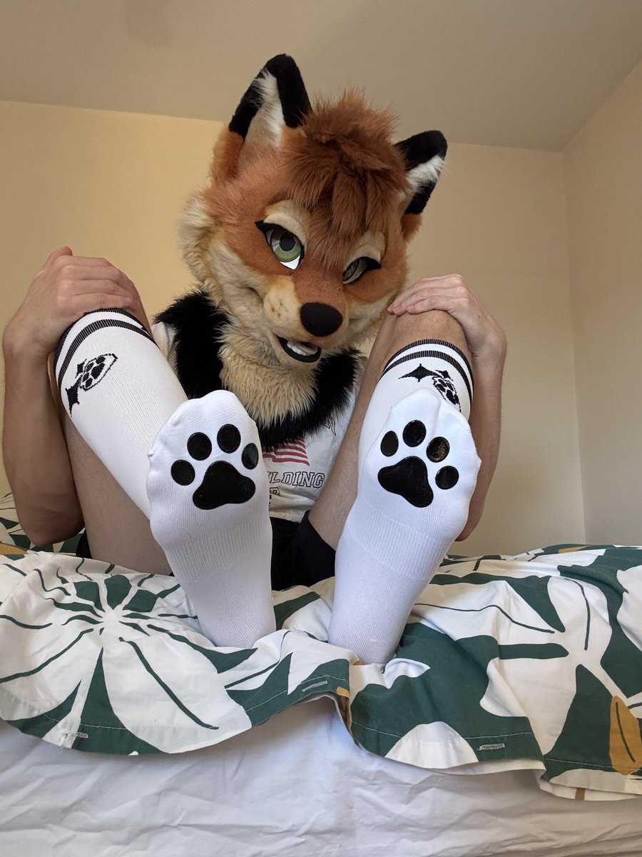 snep_bro's tweet photo. Go on, bring that muzzle closer ~

Thaaaats a good boy 🦴🐾 https://t.co/XKsWwhd6Yy