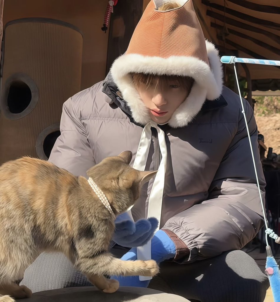 wnqkr2's tweet photo. 졸귀몬스터 발견 https://t.co/qBbs5vIJam