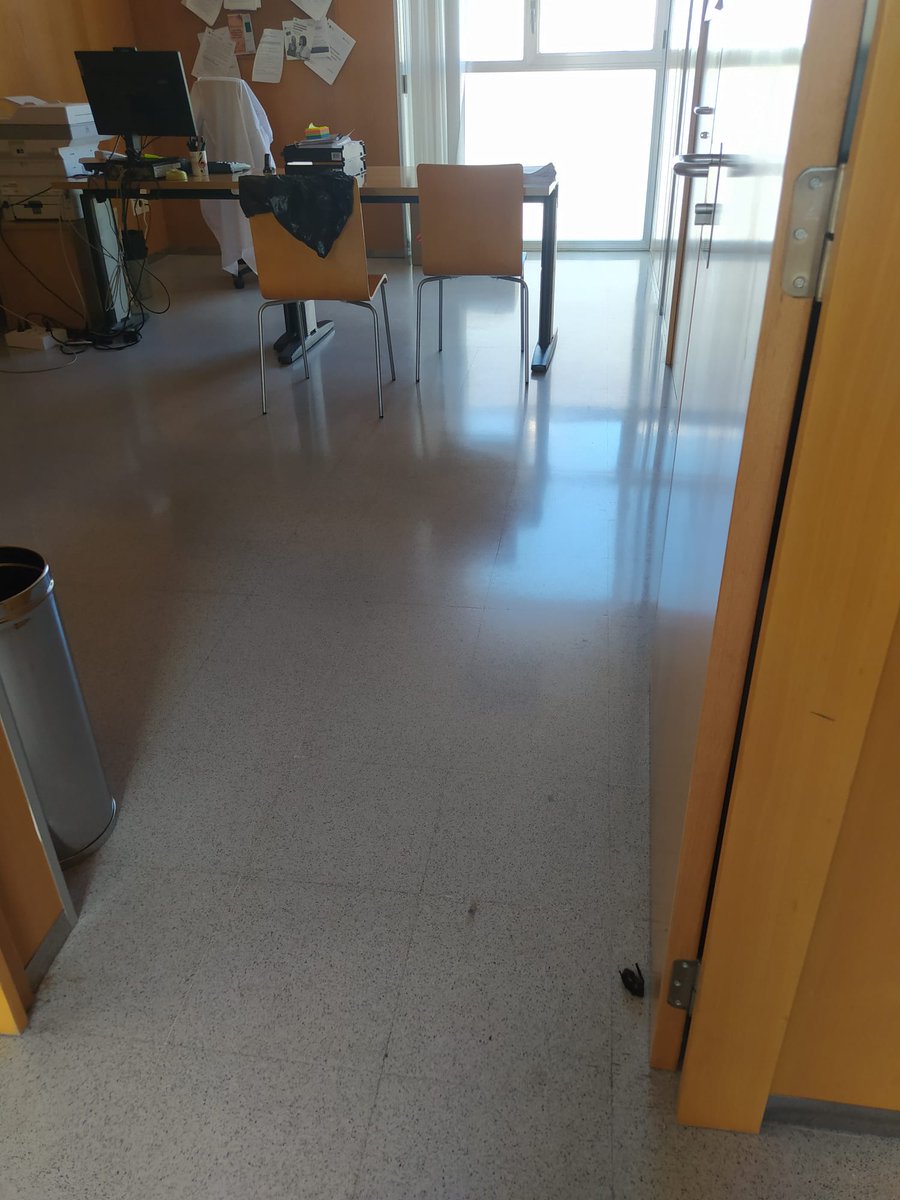 galizaCIG's tweet photo. 🦇Denuncian a desidia do #Sergas ante unha praga de morcegos no centro de saúde de Verín
👉A CIG-Saúde de Ourense reclama que se adopten as medidas oportunas para garantir a seguridade de persoas traballadoras e usuarias
ℹ️ https://t.co/N8AjTvg8uX
#verín #ourense #sanidade https://t.co/FEutscbAXQ