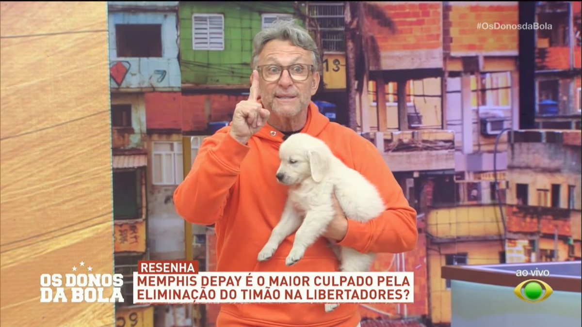 loonaenct's tweet photo. fui ver o craque neto bravo recebi isso https://t.co/co1zMlqScK