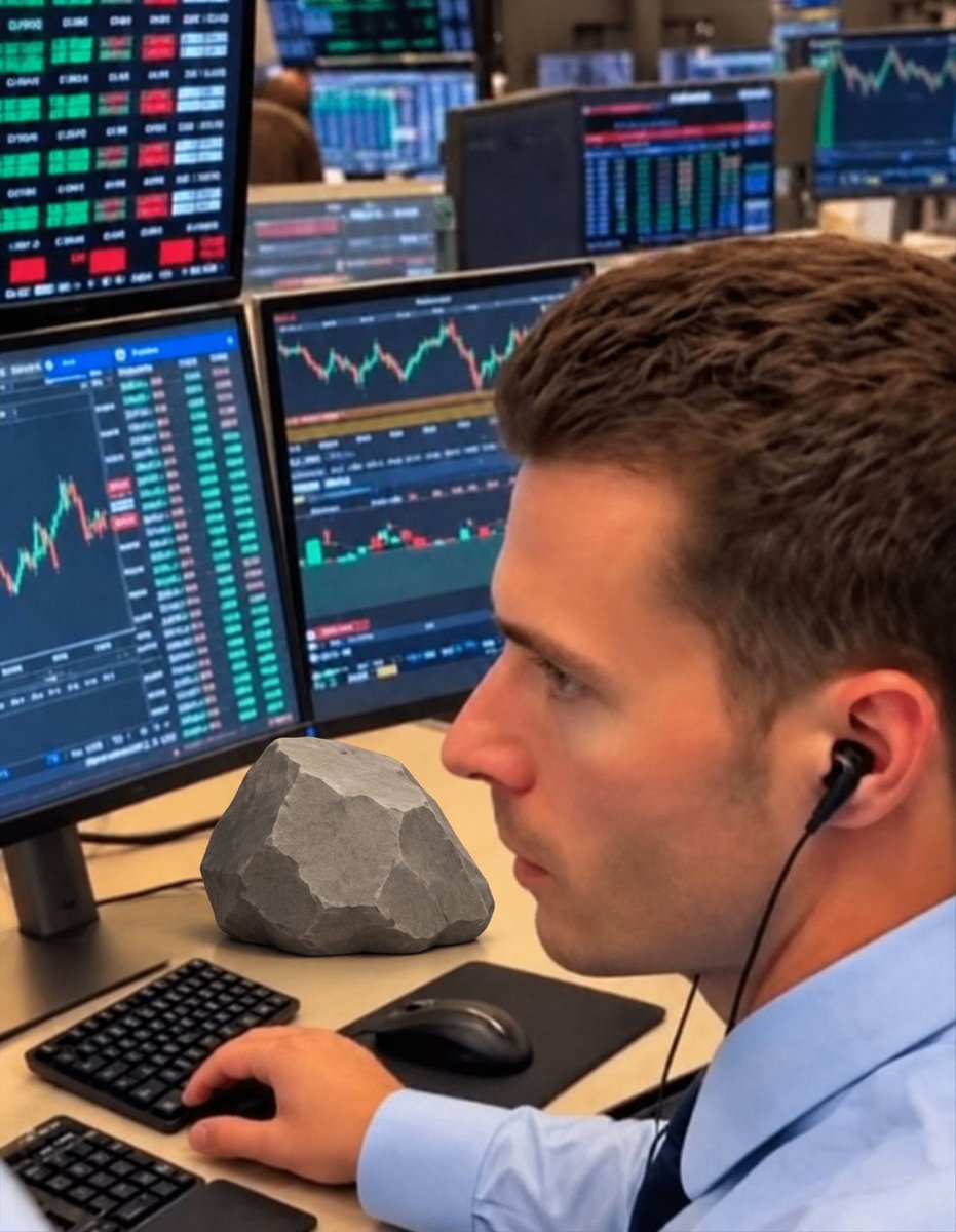 EtherRockSol's tweet photo. Imagine spending 15 years studying finance just to get outperformed by a rock https://t.co/m5BUvcmVq9