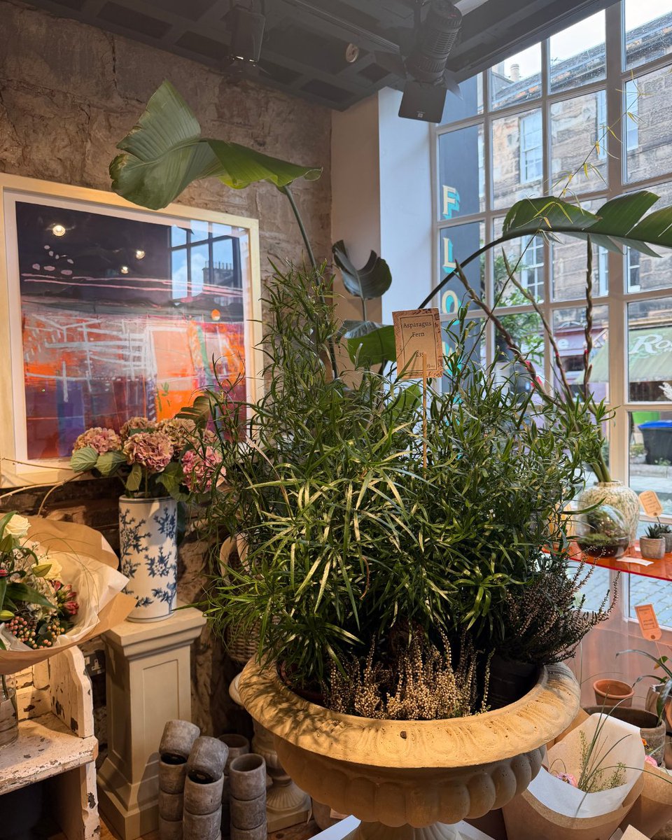 edinburgh's tweet photo. Located on William Street in the heart of Edinburgh's West End, Rogue Flowers has established a reputation for beautiful flowers and greens since opening in 2010. Offering everything from single stems to creative and artistic bouquets, this charming shop is highly regarded for its ever-changing seasonal floral arrangements. 💐