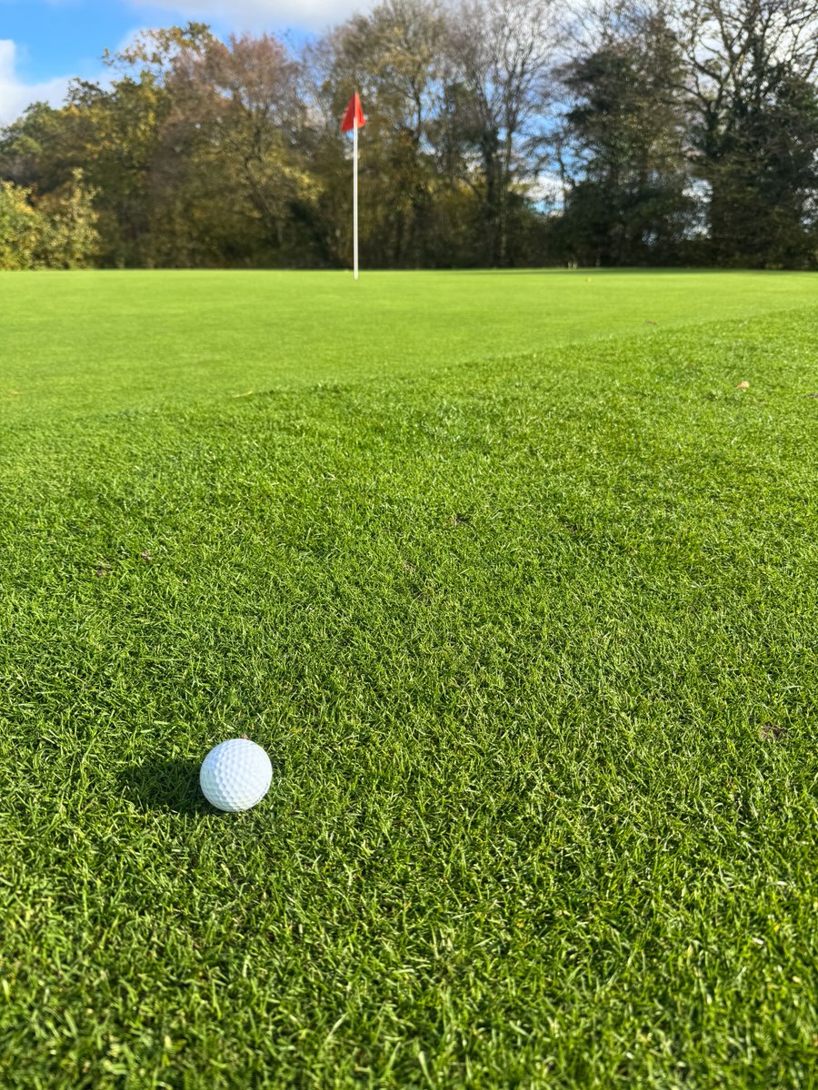 hehee2003oy's tweet photo. I was at the hilltop fairway on a showery day after a reservation. With an engineer, we were cheerful. For turning, the swing felt upright and precise. I felt lighter. #GolfJourney #TeeTimeVibes https://t.co/R4aUAskdkV