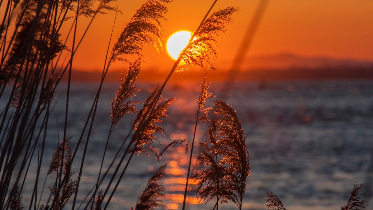greyriver759262's tweet photo. It's the last thing you ever have energy for. As I write, I feel agitated at life pulling me away. Emotions are biting. My mother is distracting. https://t.co/vBovlzRQ81