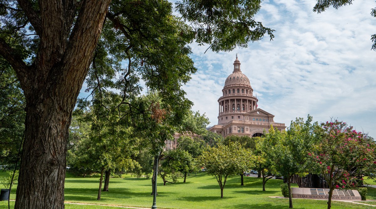 KirkusReviews's tweet photo. Book your tickets for Austin, Nov. 14-15: Among the authors attending this year's Texas Book Festival are Colson Whitehead, Patrick Radden Keefe, and Elizabeth Acevedo. More info here: https://t.co/RxTqflwG80 @texasbookfest @colsonwhitehead @praddenkeefe @acevedowrites #TXBF https://t.co/oYNK7bT373