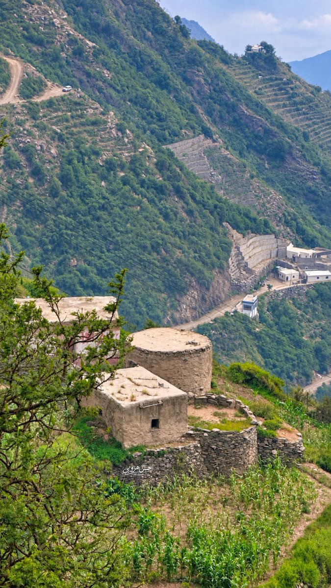 MadeInSaud_i's tweet photo. Al-Sahaleel Village , Harub Governorate 🇸🇦 https://t.co/zwaXpfymGj