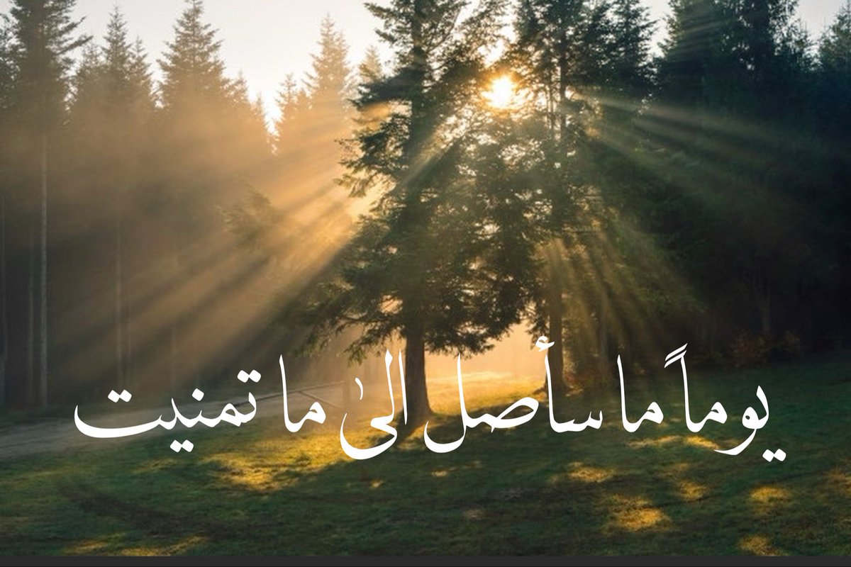 9lizrl's tweet photo. https://t.co/LhwhdYC0pH