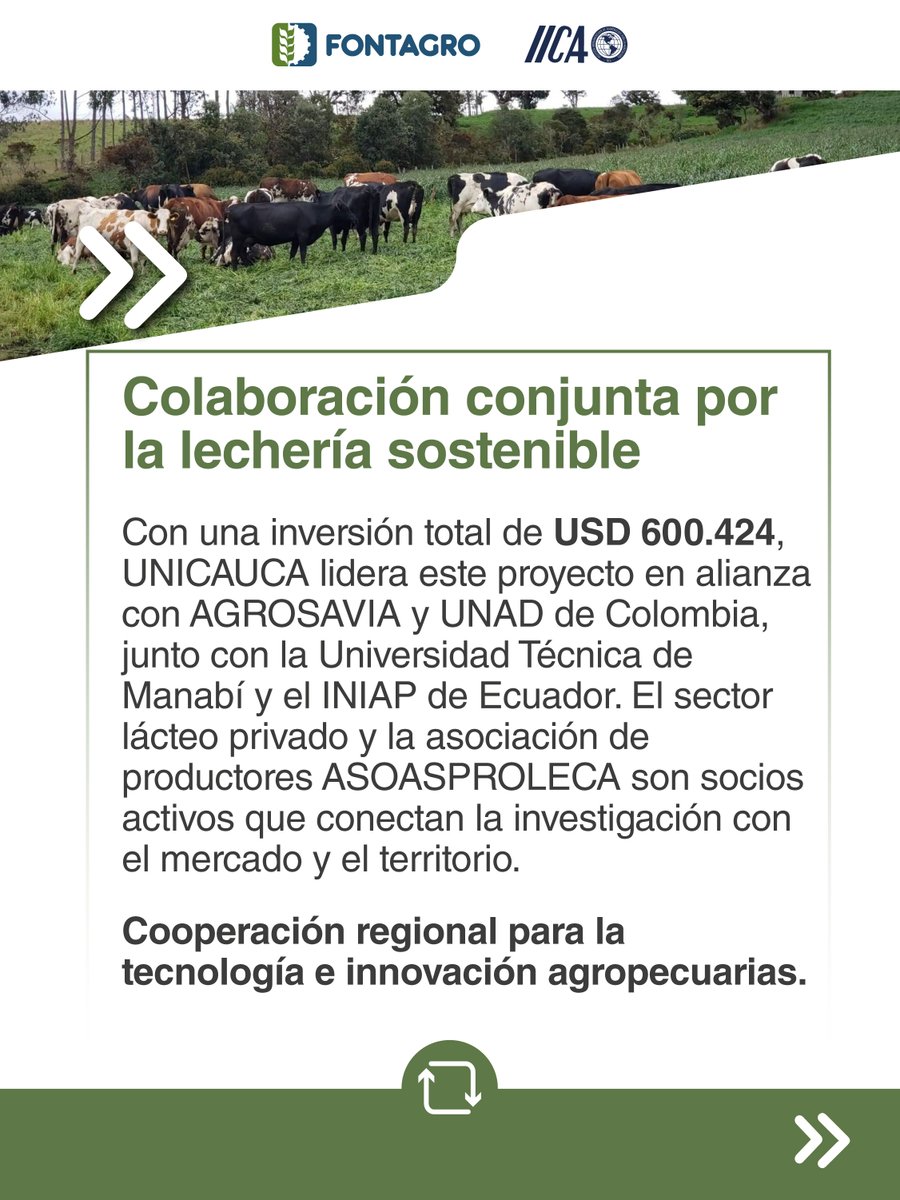 FontagroLAC's tweet photo. 🌱🥛 Este consorcio regional es ejecutado por la @unicauca, Colombia 🇨🇴 y la Universidad Técnica de Manabí @UTMManabi, Ecuador 🇪🇨, en alianza con organizaciones de productores, instituciones de investigación y empresas de ambos países. 🤝🔬 https://t.co/mRSM7keVla