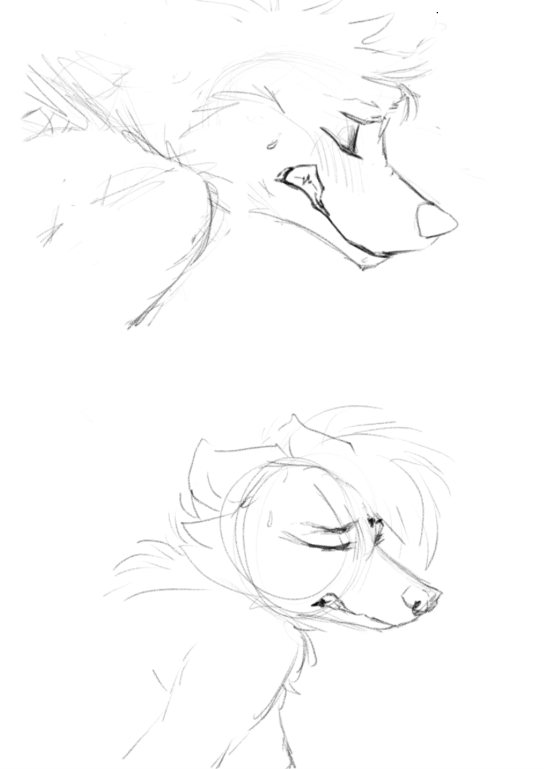 slyandtrashy's tweet photo. Sketching of some stretching ~ we love practicing new expressions! Just trying to get the hang of our art style. 

{ #yiff #furrynsfw #furry #furryart } https://t.co/JBBCHZXN35