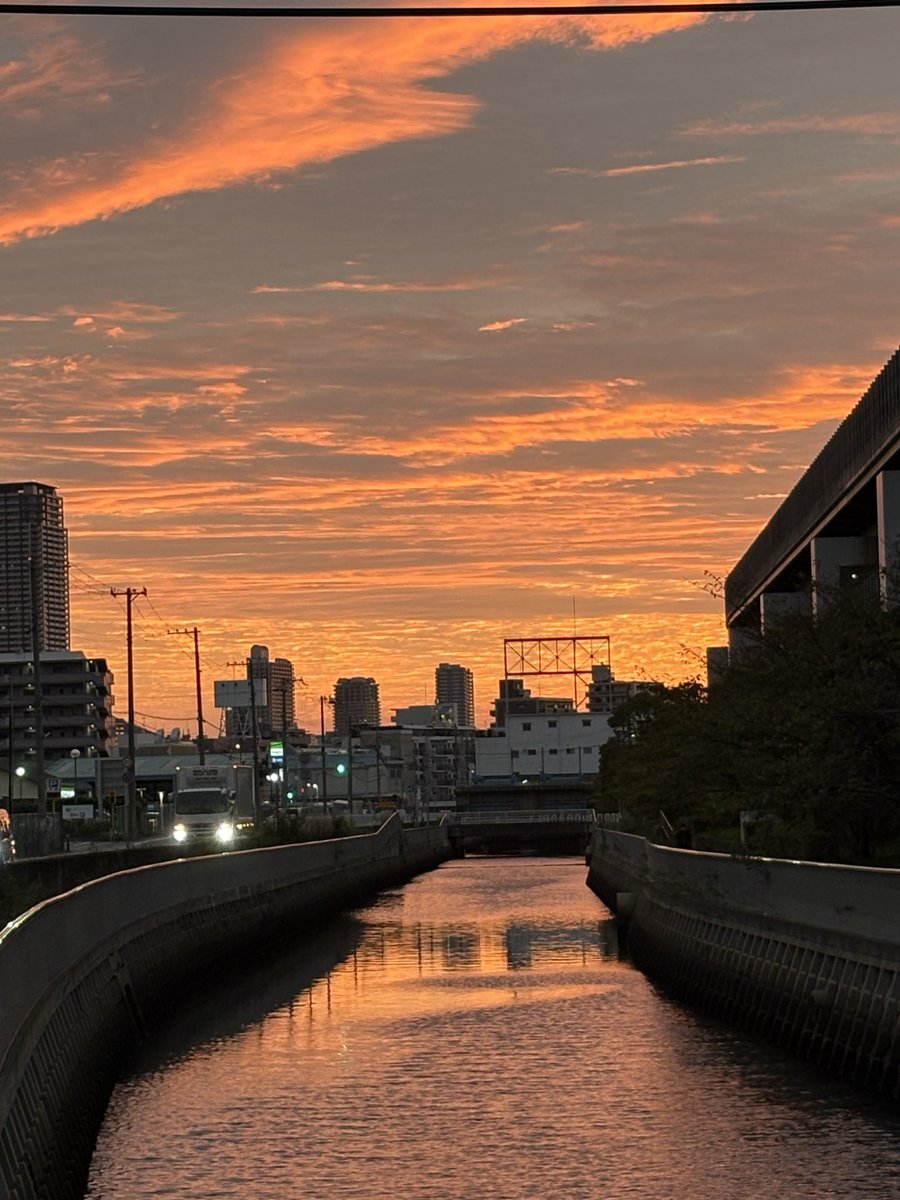 norio1948's tweet photo. 9月18日(金)おはようございます。神戸、六甲は曇り、気温は25度。

今朝は青空も見えるが雲の多い空、東の空は見事な朝焼け(写真)で日の出を迎えた。今日一日は曇りの予報。
早朝ウォーキング、六甲から東へ石屋川、南へ灘浜運河、西へ都賀川河口とぐるりまわった。一万歩完了。

神戸街角の花々(2952) https://t.co/X6eDuqwjkN