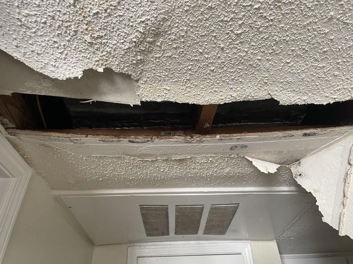 bat_bugz's tweet photo. https://t.co/i6BnHRqEHt

Since this is getting a little traction. I’d really appreciate if yall could at least spread this, also this is what my ceiling looks like rn and I’m trying to move out asap, but I’m still not making enough with my new job. https://t.co/rI28RDsxNY