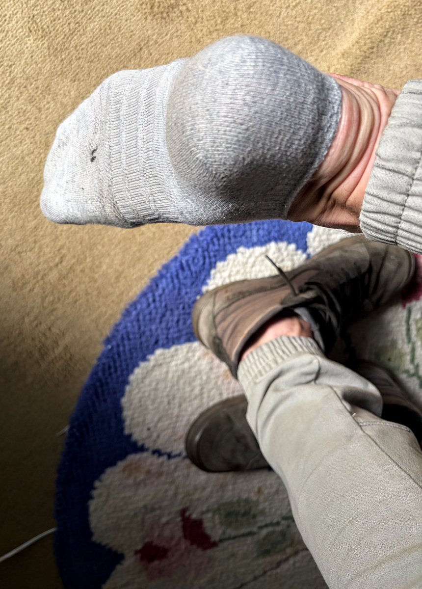 SniffTheGreat's tweet photo. My grey Adidas no shows need some help peeling off 🥵👀 Size 11 UK https://t.co/M5jWD1N6b0