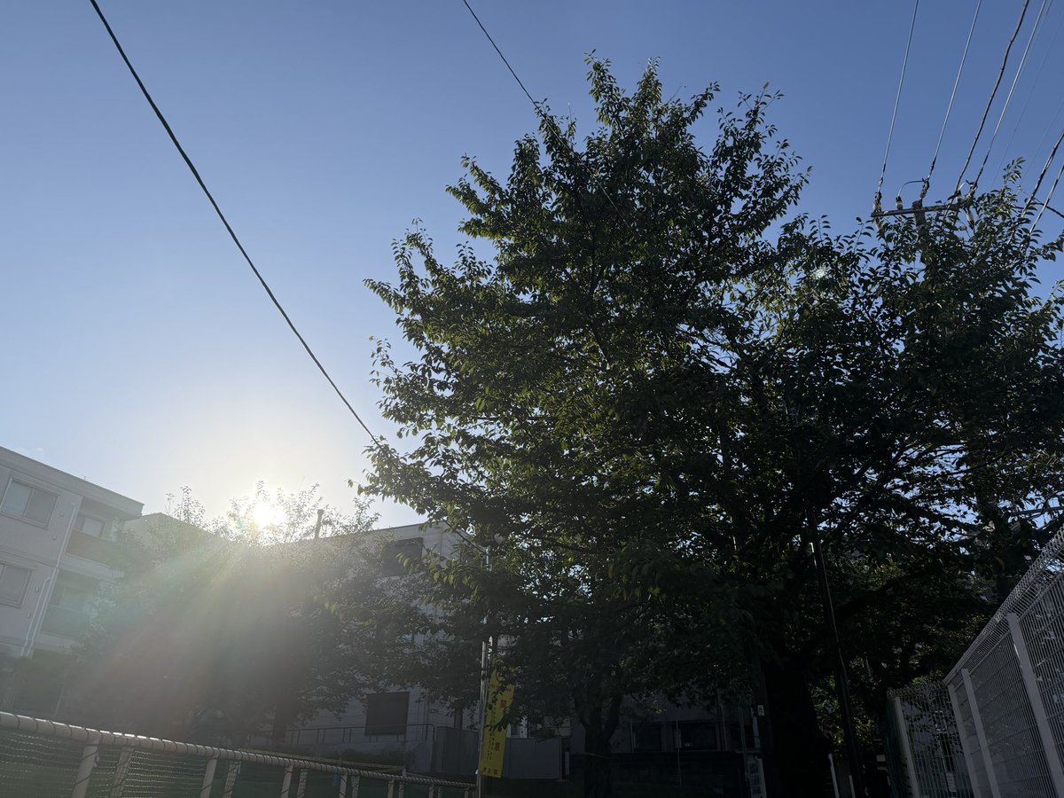 s_t17's tweet photo. おはようございます！
くもり予報ですが、朝は涼しく日が差して気持ちのいい朝です。

明日からはシルバーウィークが始まりますが、弊社は連休中もお問い合わせ対応しておりますので、ご相談やお見積り依頼もお待ちしております！

https://t.co/F72lH2g1fV 
https://t.co/fmC4gkH6IX 

#企業公式が毎朝地元の天気を言い合う #企業公式相互フォロー #リノプロリフォーム #遺品整理もんむすび #旅館業 #旅館業営業許可 #旅館業リフォーム #遺品整理