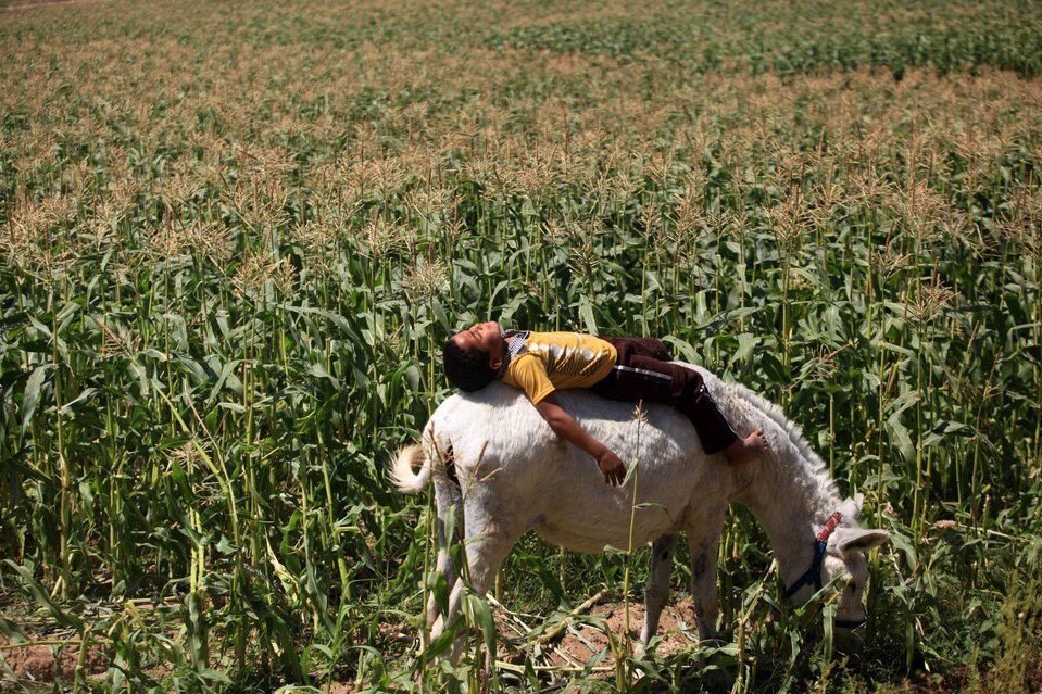 aseelswaid9's tweet photo. Gaza Palestine 2015 https://t.co/ZbC7f2u4vU