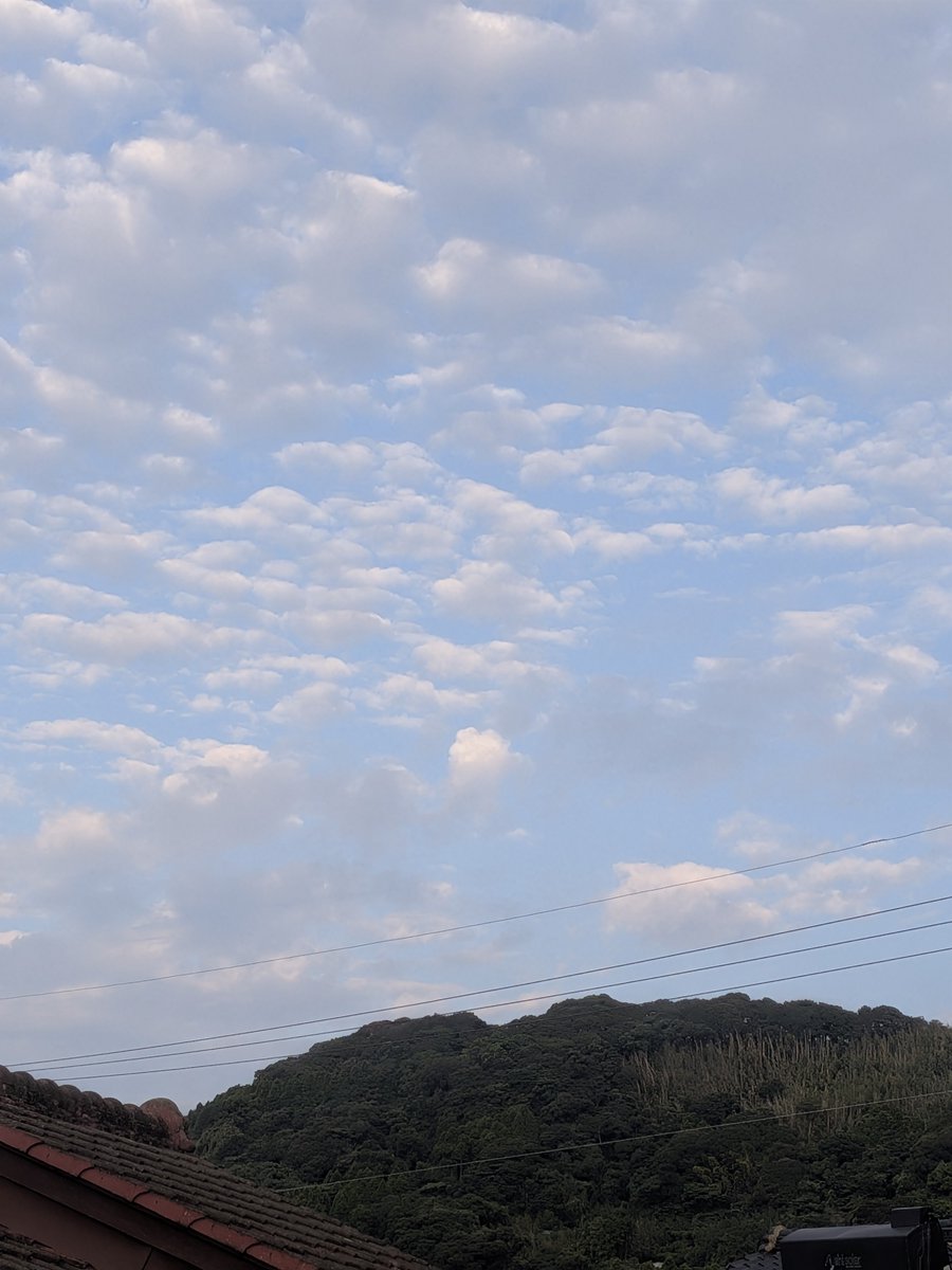 toshitaka3776's tweet photo. おはようございます
雲が広がってきました。

これから雨☂️野予報です。

#イマソラ https://t.co/ca1txZSu8M
