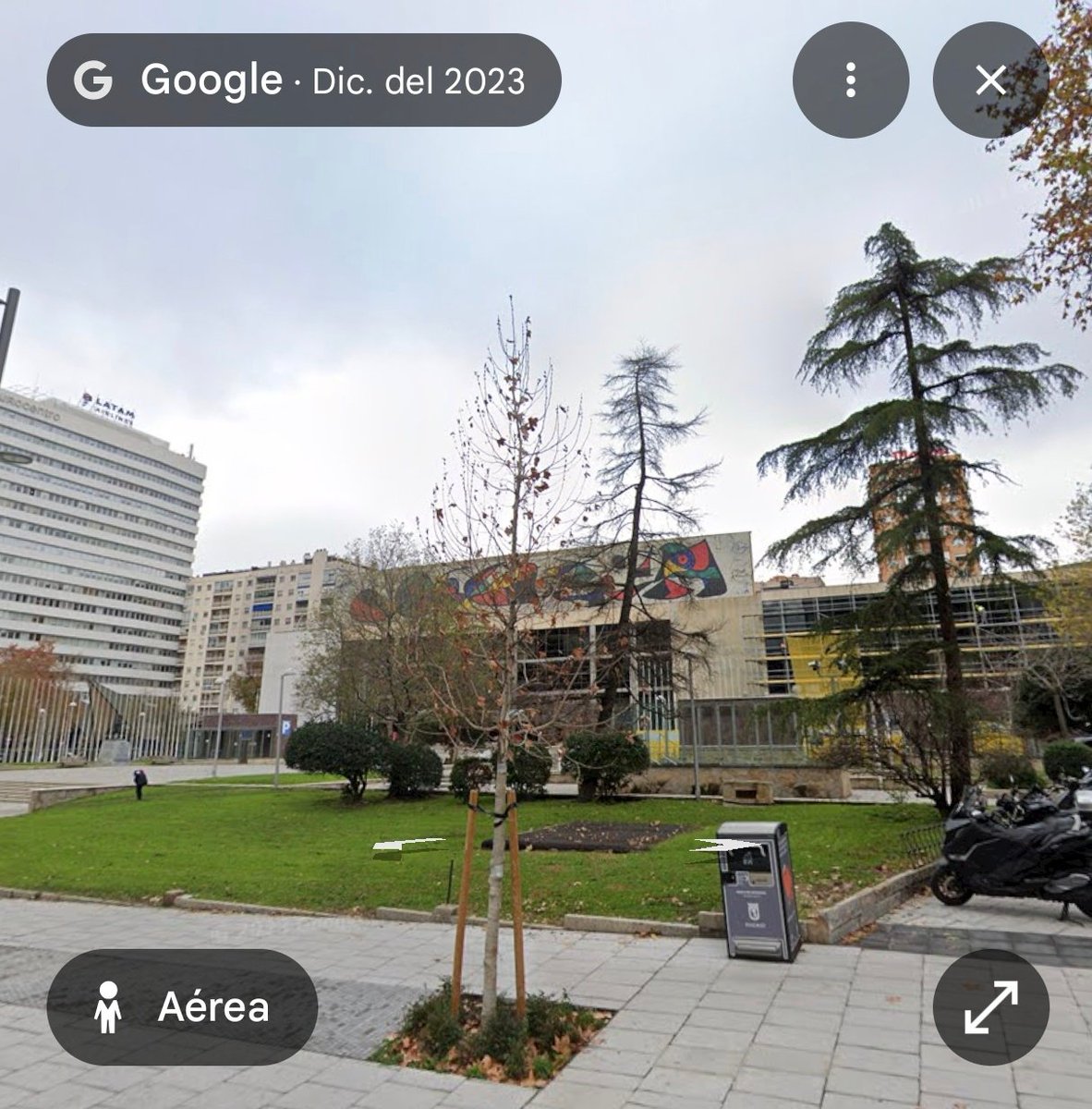 natal_dreamer's tweet photo. @MADRID @MasMadrid__ @ecologistasmadrid
Hace más de 2 años avisé al 010 de fallos en el riego del arbolado de la plaza Miró. Hoy, al pasar por allí ya se ve el motivo. Me avergüenza mi ciudad y cómo se destruyen zonas verdes como si fuese mobiliario urbano reemplazable. https://t.co/4kzTAsiD72