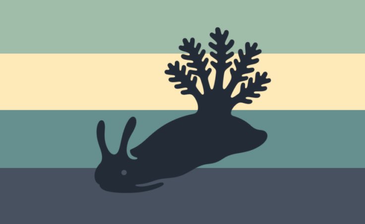 poccamara's tweet photo. Sea slug nonbinary flag https://t.co/VemBGCxrKu