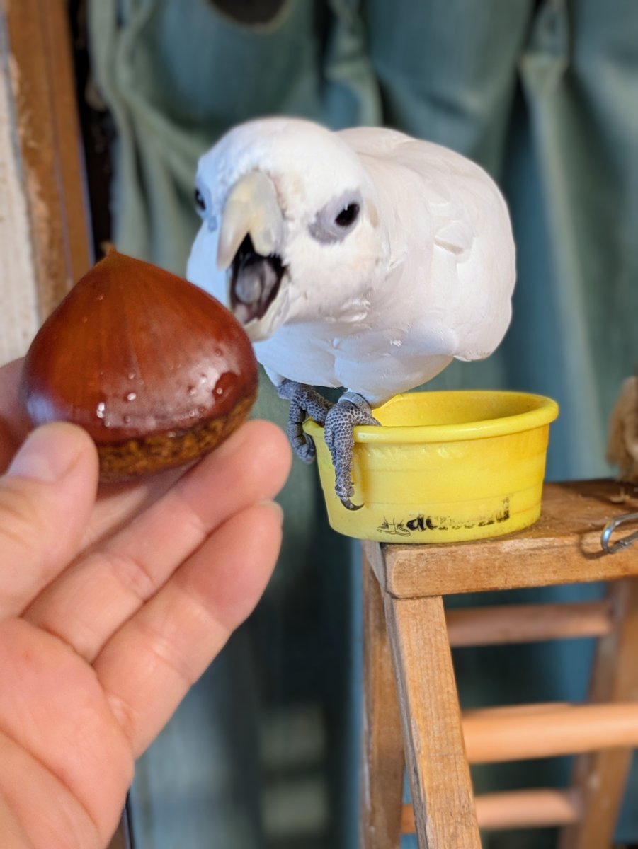 sonovinvin's tweet photo. 秋の味覚🌰🩷💕🩷💕
千葉自慢のおおまさり🥜
うちのゆず姫も堪能しました🤤😋
夏のフルーツも素敵ですが秋の味覚も素晴らしい✨️✨️ https://t.co/Om7DGNhMAR