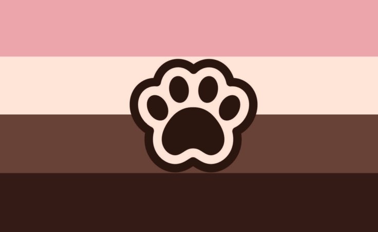 poccamara's tweet photo. Flag for nonbinary people who like puppies!! https://t.co/MBgnBY5428
