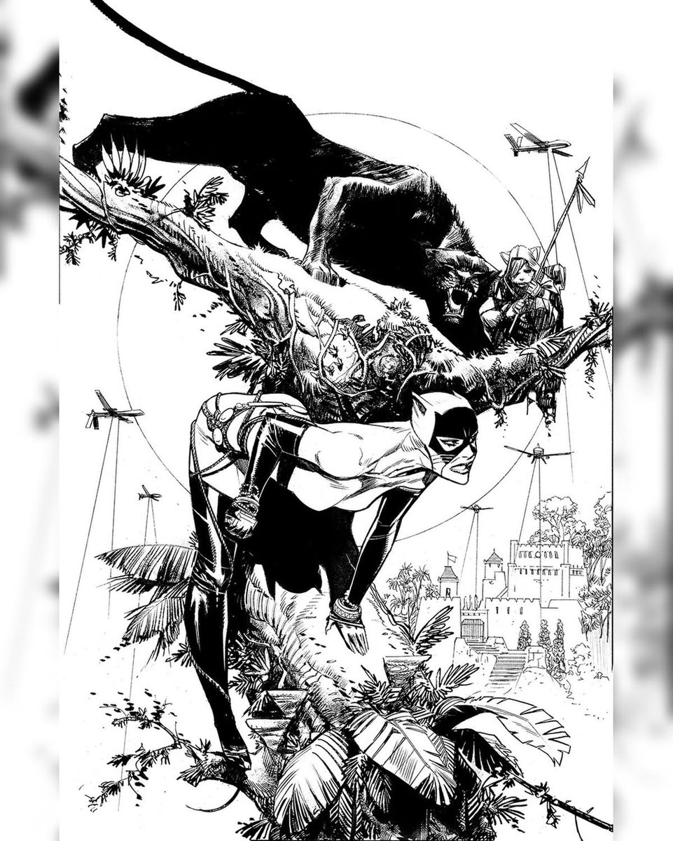 MakeMyComicRare's tweet photo. #Catwoman by @seangordonmurphy #SeanMurphy https://t.co/jjo9mtbFOp